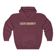 Load image into Gallery viewer, Exert Your Divinity Hoodie
