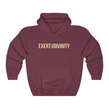 Load image into Gallery viewer, Exert Your Divinity Hoodie