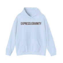 Load image into Gallery viewer, Express Your Divinity Hoodie
