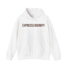 Load image into Gallery viewer, Express Your Divinity Hoodie
